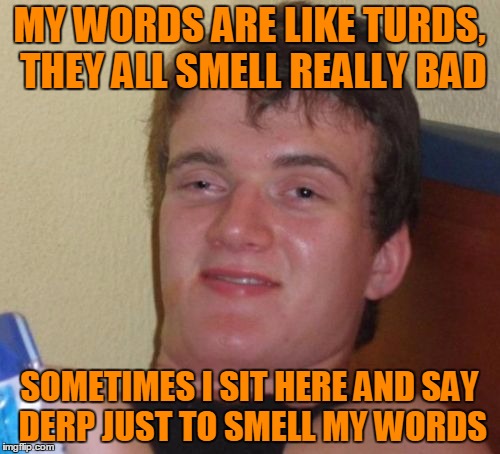 10 Guy Meme | MY WORDS ARE LIKE TURDS, THEY ALL SMELL REALLY BAD SOMETIMES I SIT HERE AND SAY DERP JUST TO SMELL MY WORDS | image tagged in memes,10 guy | made w/ Imgflip meme maker
