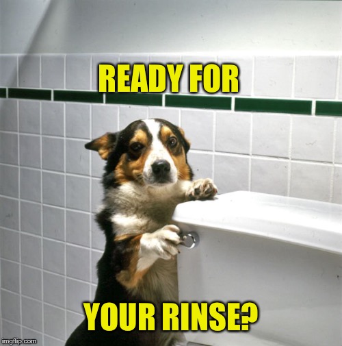 READY FOR YOUR RINSE? | made w/ Imgflip meme maker