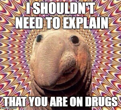 Drugs  | I SHOULDN'T NEED TO EXPLAIN; THAT YOU ARE ON DRUGS | image tagged in drugs | made w/ Imgflip meme maker