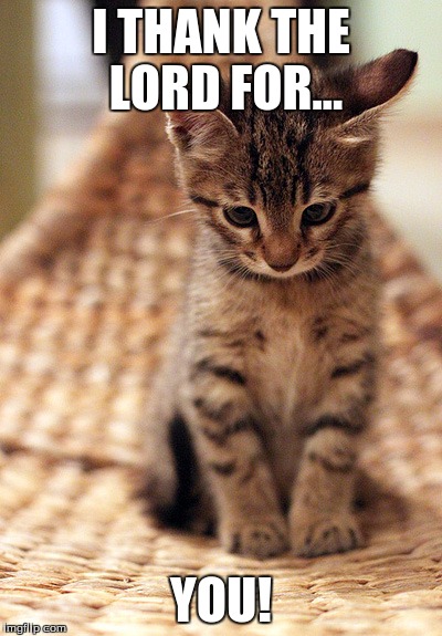 Praise The Lord Cat Meme