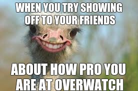 Ostrich | WHEN YOU TRY SHOWING OFF TO YOUR FRIENDS; ABOUT HOW PRO YOU ARE AT OVERWATCH | image tagged in ostrich | made w/ Imgflip meme maker