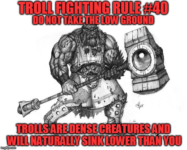 Troll Smasher | TROLL FIGHTING RULE #40; DO NOT TAKE THE LOW GROUND; TROLLS ARE DENSE CREATURES AND WILL NATURALLY SINK LOWER THAN YOU | image tagged in troll smasher | made w/ Imgflip meme maker