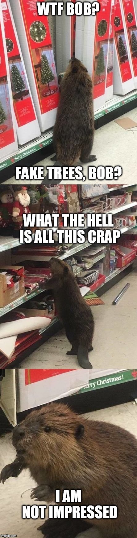 Grinch Beaver | WTF BOB? FAKE TREES, BOB? WHAT THE HELL IS ALL THIS CRAP; I AM NOT IMPRESSED | image tagged in grinch beaver | made w/ Imgflip meme maker
