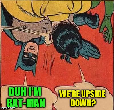 Batman Slapping Robin Meme | DUH I'M BAT-MAN WE'RE UPSIDE DOWN? | image tagged in memes,batman slapping robin | made w/ Imgflip meme maker