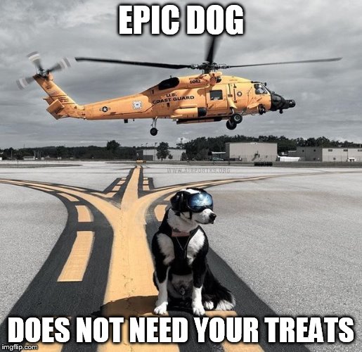 Epic Dog | EPIC DOG; DOES NOT NEED YOUR TREATS | image tagged in dog,military | made w/ Imgflip meme maker