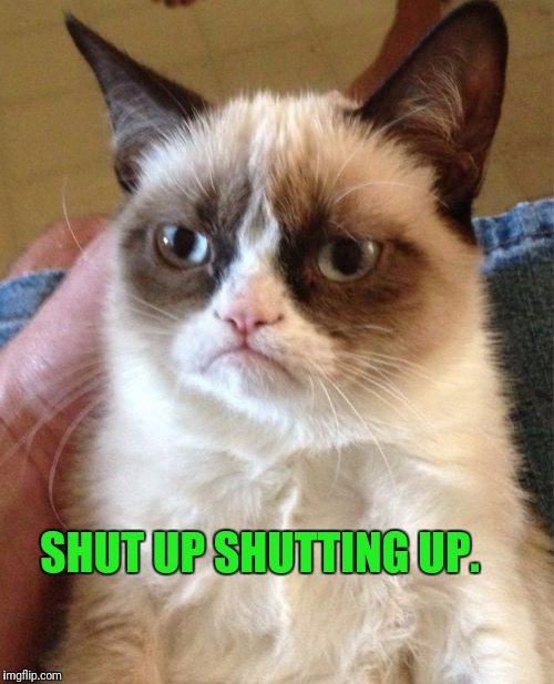 Grumpy Cat Meme | SHUT UP SHUTTING UP. | image tagged in memes,grumpy cat | made w/ Imgflip meme maker