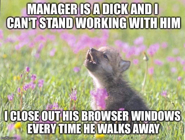 Baby Insanity Wolf Meme | MANAGER IS A DICK AND I CAN'T STAND WORKING WITH HIM; I CLOSE OUT HIS BROWSER WINDOWS EVERY TIME HE WALKS AWAY | image tagged in memes,baby insanity wolf | made w/ Imgflip meme maker