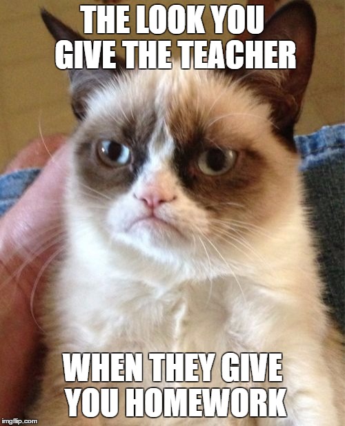 Grumpy Cat | THE LOOK YOU GIVE THE TEACHER; WHEN THEY GIVE YOU HOMEWORK | image tagged in memes,grumpy cat | made w/ Imgflip meme maker