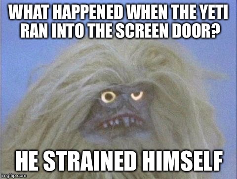 Alas poor Yeti, I gnu him well... | WHAT HAPPENED WHEN THE YETI RAN INTO THE SCREEN DOOR? HE STRAINED HIMSELF | image tagged in annoyed and confused yeti,memes | made w/ Imgflip meme maker