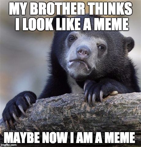 Confession Bear Meme | MY BROTHER THINKS I LOOK LIKE A MEME; MAYBE NOW I AM A MEME | image tagged in memes,confession bear | made w/ Imgflip meme maker