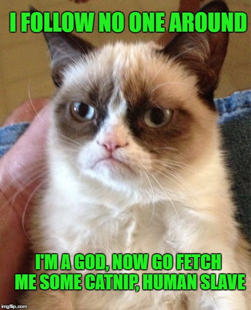 Grumpy Cat Meme | I'M A GOD, NOW GO FETCH ME SOME CATNIP, HUMAN SLAVE I FOLLOW NO ONE AROUND | image tagged in memes,grumpy cat | made w/ Imgflip meme maker