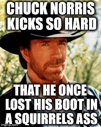 Chuck Norris | CHUCK NORRIS KICKS SO HARD; THAT HE ONCE LOST HIS BOOT IN A SQUIRRELS ASS | image tagged in memes,chuck norris,nsfw | made w/ Imgflip meme maker