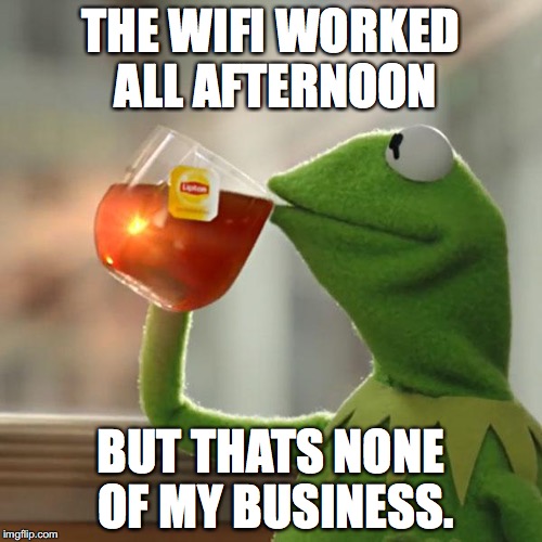 But That's None Of My Business | THE WIFI WORKED ALL AFTERNOON; BUT THATS NONE OF MY BUSINESS. | image tagged in memes,but thats none of my business,kermit the frog | made w/ Imgflip meme maker