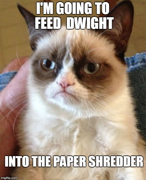 Grumpy Cat Meme | I'M GOING TO FEED  DWIGHT INTO THE PAPER SHREDDER | image tagged in memes,grumpy cat | made w/ Imgflip meme maker
