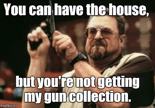 Am I The Only One Around Here Meme | You can have the house, but you're not getting my gun collection. | image tagged in memes,am i the only one around here | made w/ Imgflip meme maker