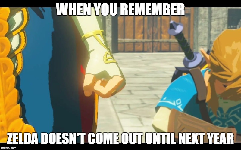 Zelda Fist | WHEN YOU REMEMBER; ZELDA DOESN'T COME OUT UNTIL NEXT YEAR | image tagged in zelda fist | made w/ Imgflip meme maker