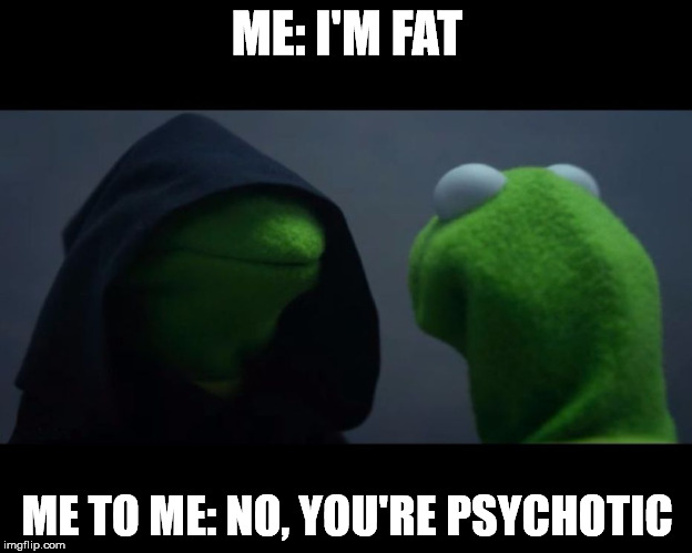 me to me reverse | ME: I'M FAT ME TO ME: NO, YOU'RE PSYCHOTIC | image tagged in me to me reverse | made w/ Imgflip meme maker