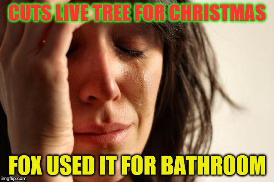First World Problems Meme | CUTS LIVE TREE FOR CHRISTMAS FOX USED IT FOR BATHROOM | image tagged in memes,first world problems | made w/ Imgflip meme maker