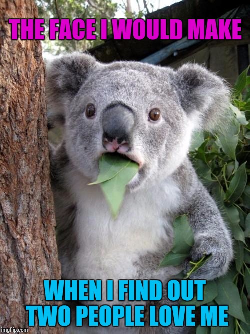 Surprised Koala Meme | THE FACE I WOULD MAKE; WHEN I FIND OUT TWO PEOPLE LOVE ME | image tagged in memes,surprised koala | made w/ Imgflip meme maker