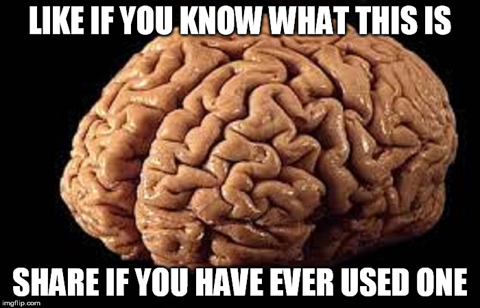 Brains | LIKE IF YOU KNOW WHAT THIS IS; SHARE IF YOU HAVE EVER USED ONE | image tagged in likes | made w/ Imgflip meme maker