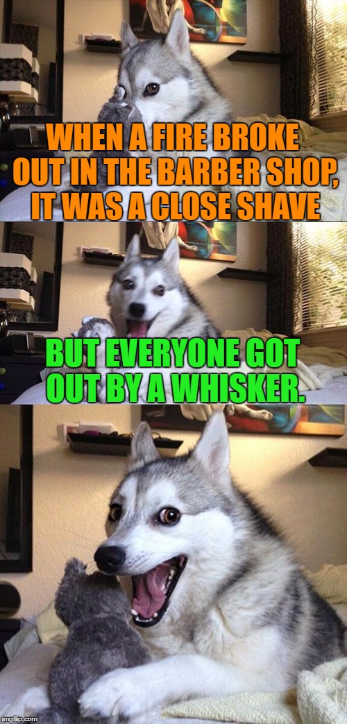 Fire in Barber Shop | WHEN A FIRE BROKE OUT IN THE BARBER SHOP, IT WAS A CLOSE SHAVE; BUT EVERYONE GOT OUT BY A WHISKER. | image tagged in memes,bad pun dog,funny,barber,shave,whisker | made w/ Imgflip meme maker