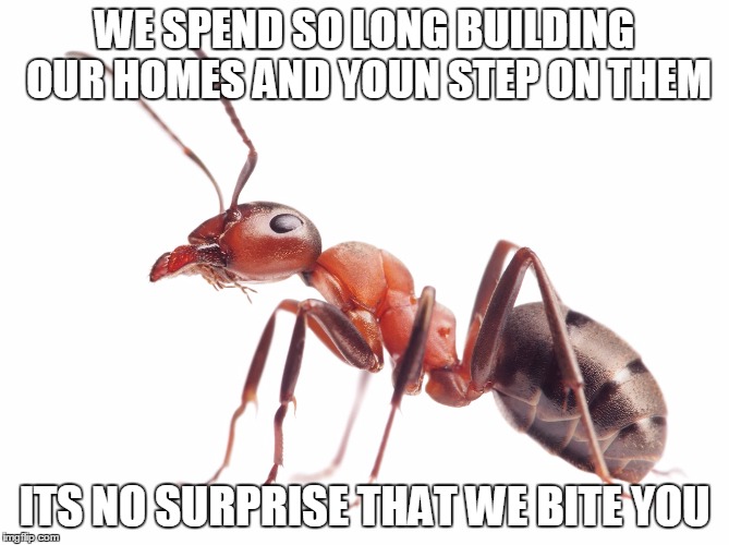 Message from the ants | WE SPEND SO LONG BUILDING OUR HOMES AND YOUN STEP ON THEM; ITS NO SURPRISE THAT WE BITE YOU | image tagged in logic,ants,funny | made w/ Imgflip meme maker