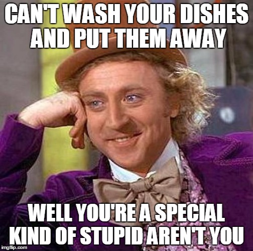 Creepy Condescending Wonka | CAN'T WASH YOUR DISHES AND PUT THEM AWAY; WELL YOU'RE A SPECIAL KIND OF STUPID AREN'T YOU | image tagged in memes,creepy condescending wonka | made w/ Imgflip meme maker