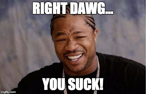 Yo Dawg Heard You Meme | RIGHT DAWG... YOU SUCK! | image tagged in memes,yo dawg heard you | made w/ Imgflip meme maker