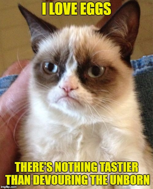 Grumpy Cat Meme | I LOVE EGGS; THERE'S NOTHING TASTIER THAN DEVOURING THE UNBORN | image tagged in memes,grumpy cat | made w/ Imgflip meme maker
