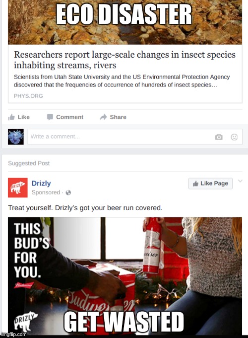 Facebook feed | ECO DISASTER; GET WASTED | image tagged in budweiser,facebook | made w/ Imgflip meme maker