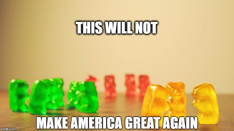 This will not make us great again | THIS WILL NOT; MAKE AMERICA GREAT AGAIN | image tagged in segregation,political,diversity | made w/ Imgflip meme maker