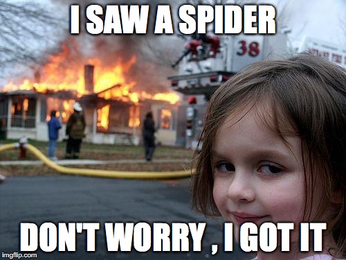 Disaster Girl Meme | I SAW A SPIDER; DON'T WORRY , I GOT IT | image tagged in memes,disaster girl | made w/ Imgflip meme maker