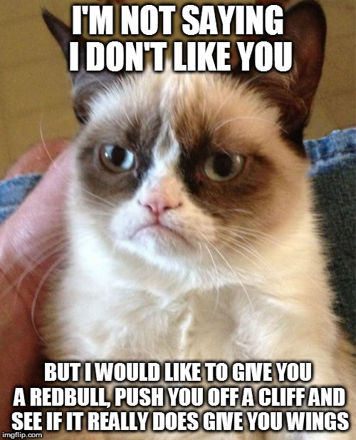 Grumpy Cat | I'M NOT SAYING I DON'T LIKE YOU; BUT I WOULD LIKE TO GIVE YOU A REDBULL, PUSH YOU OFF A CLIFF AND SEE IF IT REALLY DOES GIVE YOU WINGS | image tagged in memes,grumpy cat | made w/ Imgflip meme maker