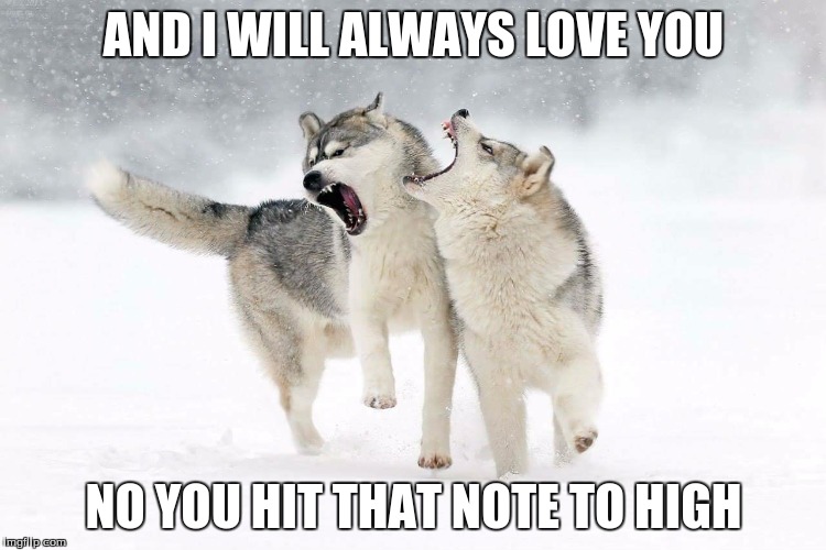 Red Wolves Sing The Blues | AND I WILL ALWAYS LOVE YOU; NO YOU HIT THAT NOTE TO HIGH | image tagged in red wolves sing the blues | made w/ Imgflip meme maker