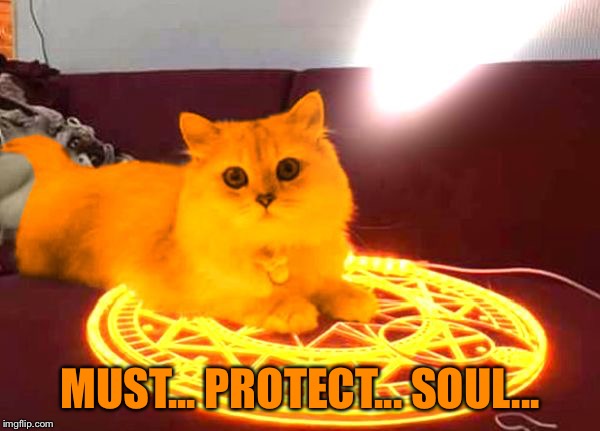 RayCat Powers | MUST... PROTECT... SOUL... | image tagged in raycat powers | made w/ Imgflip meme maker