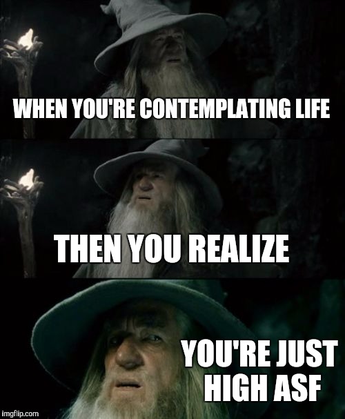 Happens to me every time.. | WHEN YOU'RE CONTEMPLATING LIFE; THEN YOU REALIZE; YOU'RE JUST HIGH ASF | image tagged in memes,confused gandalf | made w/ Imgflip meme maker