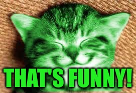 happy RayCat | THAT'S FUNNY! | image tagged in happy raycat | made w/ Imgflip meme maker