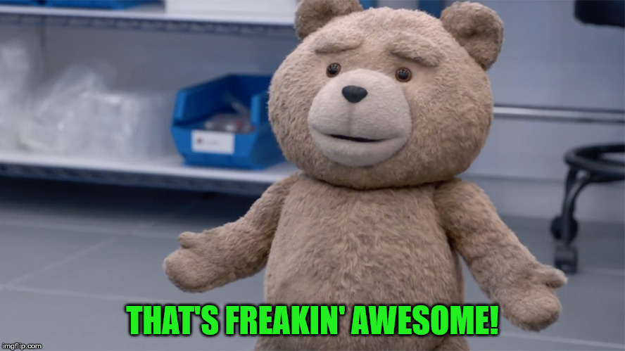 Ted Question | THAT'S FREAKIN' AWESOME! | image tagged in ted question | made w/ Imgflip meme maker