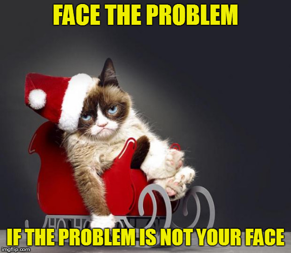 Grumpy Cat Christmas HD | FACE THE PROBLEM; IF THE PROBLEM IS NOT YOUR FACE | image tagged in grumpy cat christmas hd | made w/ Imgflip meme maker
