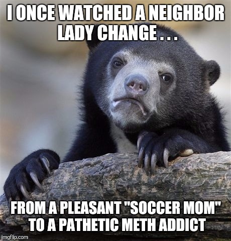 And you thought there'd be nudity! | I ONCE WATCHED A NEIGHBOR LADY CHANGE . . . FROM A PLEASANT "SOCCER MOM" TO A PATHETIC METH ADDICT | image tagged in memes,confession bear | made w/ Imgflip meme maker