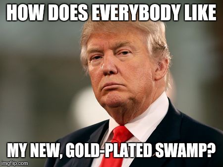 Drumpf Treason | HOW DOES EVERYBODY LIKE; MY NEW, GOLD-PLATED SWAMP? | image tagged in drumpf treason,memes,congratulations you played yourself | made w/ Imgflip meme maker