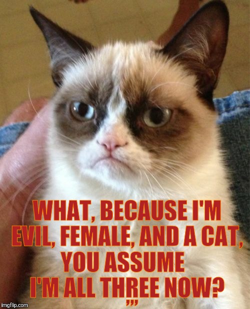 Grumpy Cat Meme | WHAT, BECAUSE I'M EVIL, FEMALE, AND A CAT,     YOU ASSUME            I'M ALL THREE NOW? ,,, | image tagged in memes,grumpy cat | made w/ Imgflip meme maker