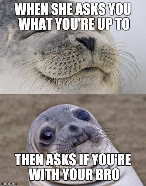 Short Satisfaction VS Truth | WHEN SHE ASKS YOU WHAT YOU'RE UP TO; THEN ASKS IF YOU'RE WITH YOUR BRO | image tagged in memes,short satisfaction vs truth | made w/ Imgflip meme maker
