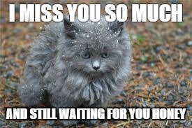 For my busy Honey | I MISS YOU SO MUCH; AND STILL WAITING FOR YOU HONEY | image tagged in miss you | made w/ Imgflip meme maker