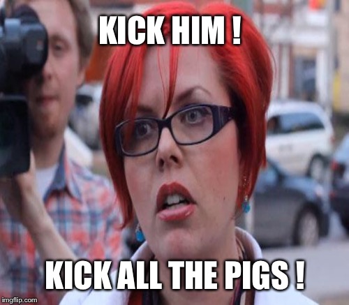 KICK HIM ! KICK ALL THE PIGS ! | made w/ Imgflip meme maker