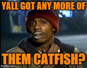 Y'all Got Any More Of That Meme | YALL GOT ANY MORE OF THEM CATFISH? | image tagged in memes,yall got any more of | made w/ Imgflip meme maker