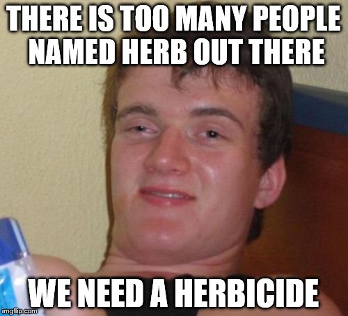 10 Guy Meme | THERE IS TOO MANY PEOPLE NAMED HERB OUT THERE WE NEED A HERBICIDE | image tagged in memes,10 guy | made w/ Imgflip meme maker
