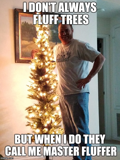 Christmas | I DON'T ALWAYS FLUFF TREES; BUT WHEN I DO THEY CALL ME MASTER FLUFFER | image tagged in master,fluffy | made w/ Imgflip meme maker