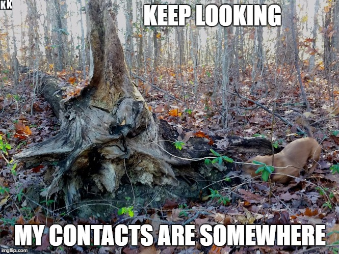 KEEP LOOKING; MY CONTACTS ARE SOMEWHERE | image tagged in dog  woods | made w/ Imgflip meme maker