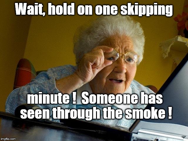 Grandma Finds The Internet Meme | Wait, hold on one skipping minute !  Someone has seen through the smoke ! | image tagged in memes,grandma finds the internet | made w/ Imgflip meme maker